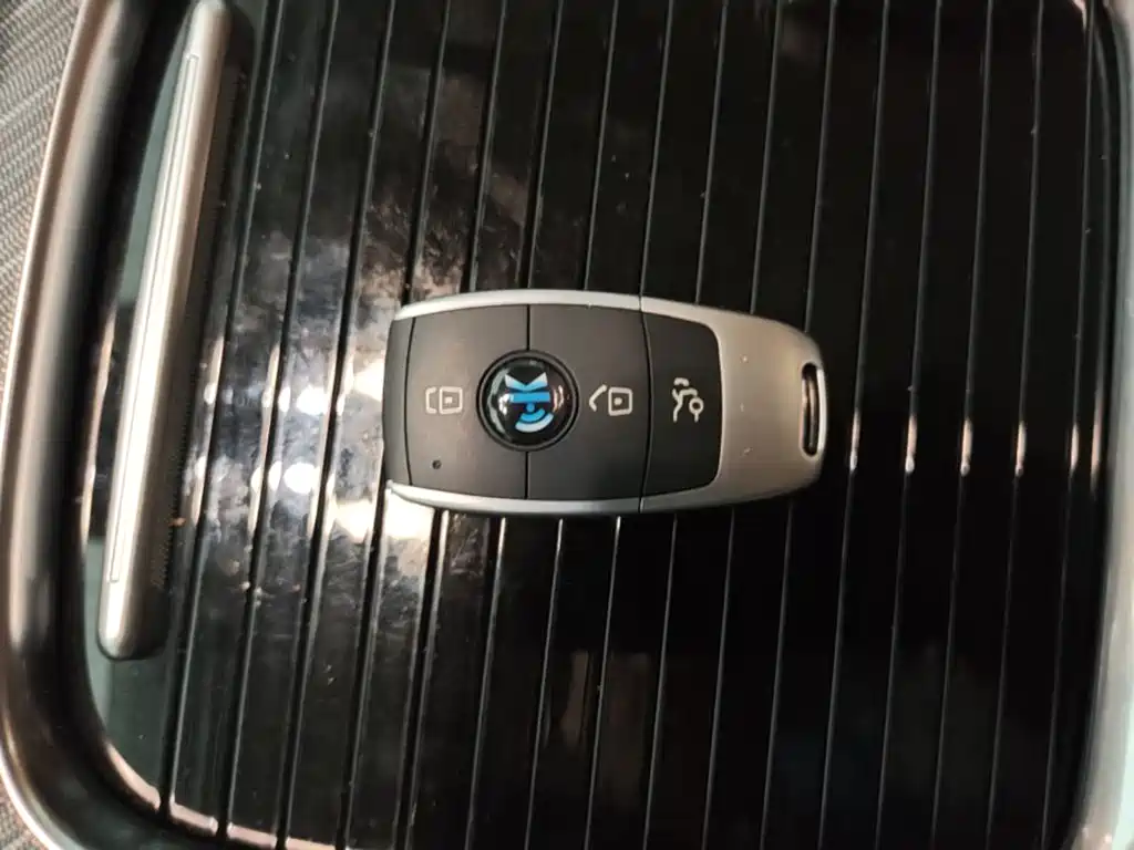 Hongqi Hongqi HQ9 PHEV — миниатюра 9