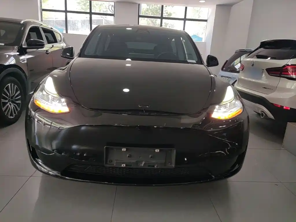 Tesla Model Y — миниатюра 3