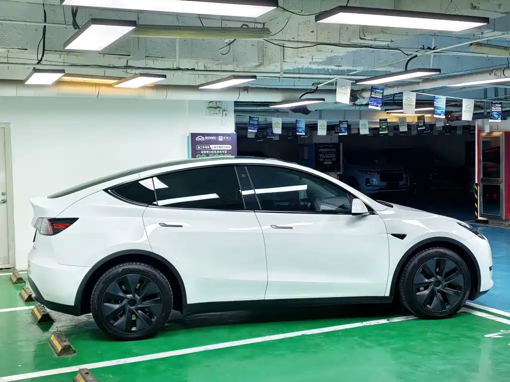 Tesla Model Y — миниатюра 6