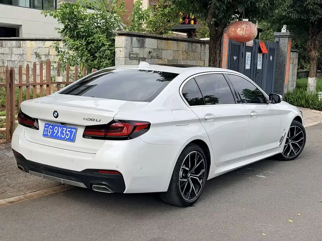 BMW 5 Series — миниатюра 5