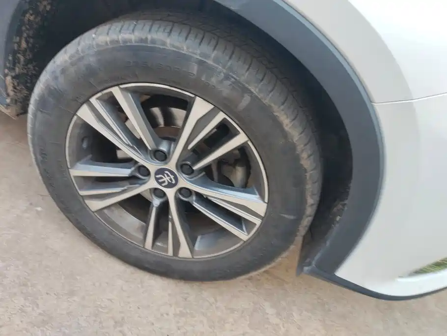 BYD Pro — миниатюра 6