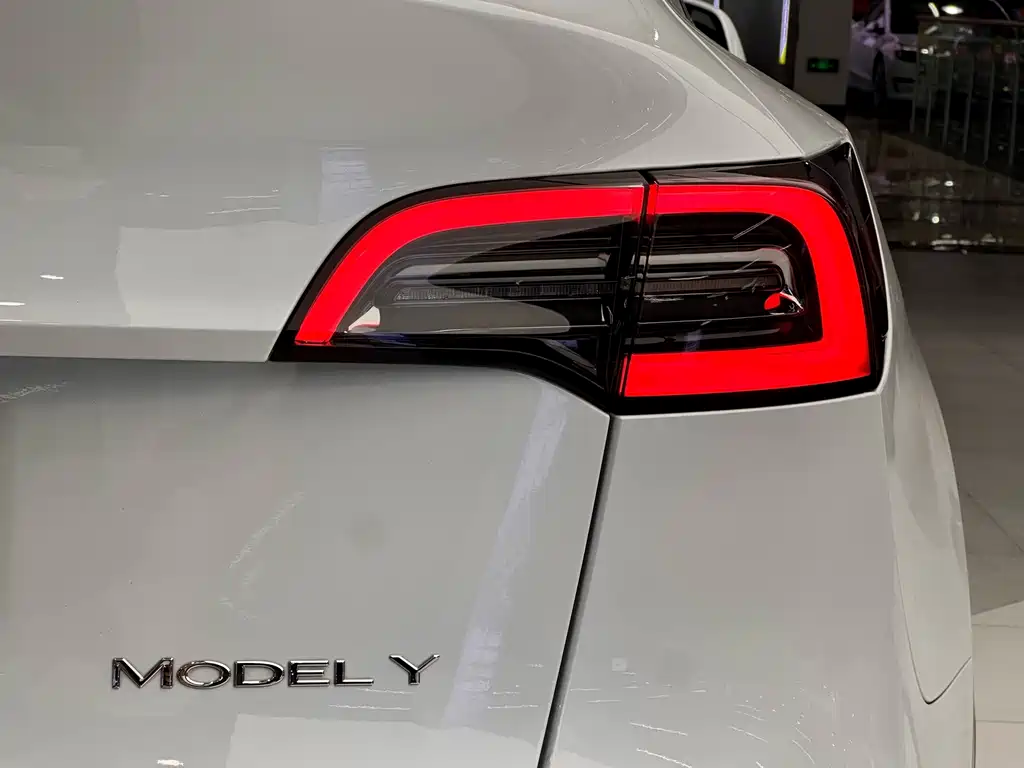 Tesla Model Y — миниатюра 8