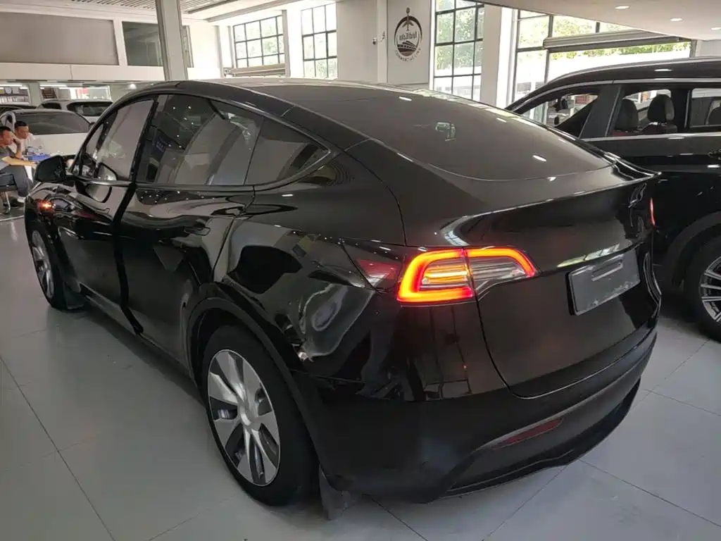 Tesla Model Y — миниатюра 5