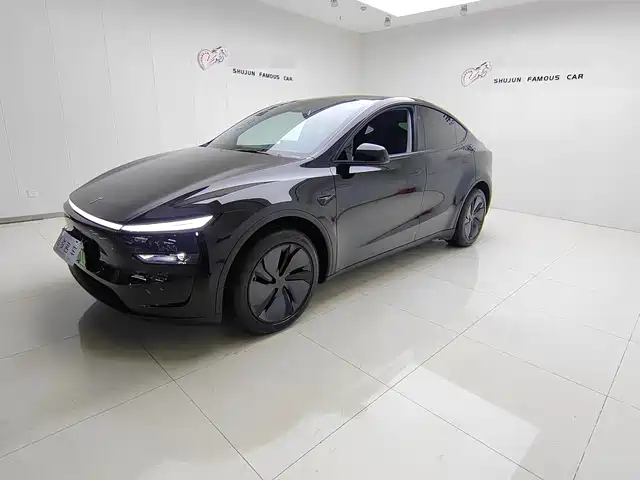 TESLA MODEL Y 2025