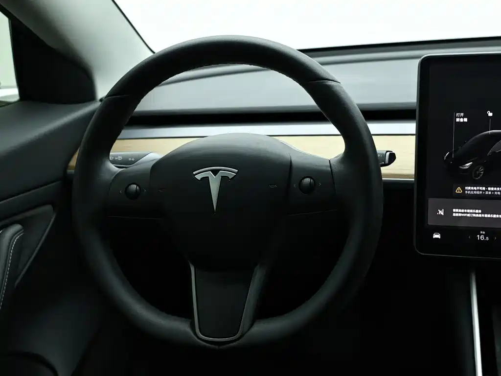 Tesla Model 3 — миниатюра 15