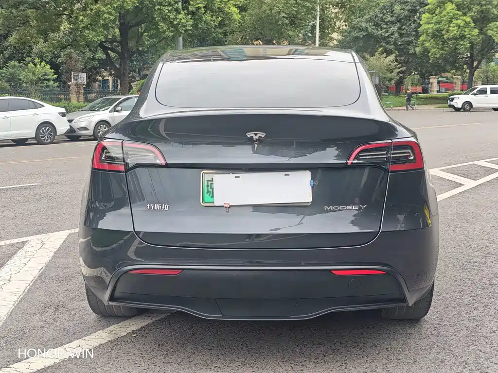 Tesla Model Y — миниатюра 7