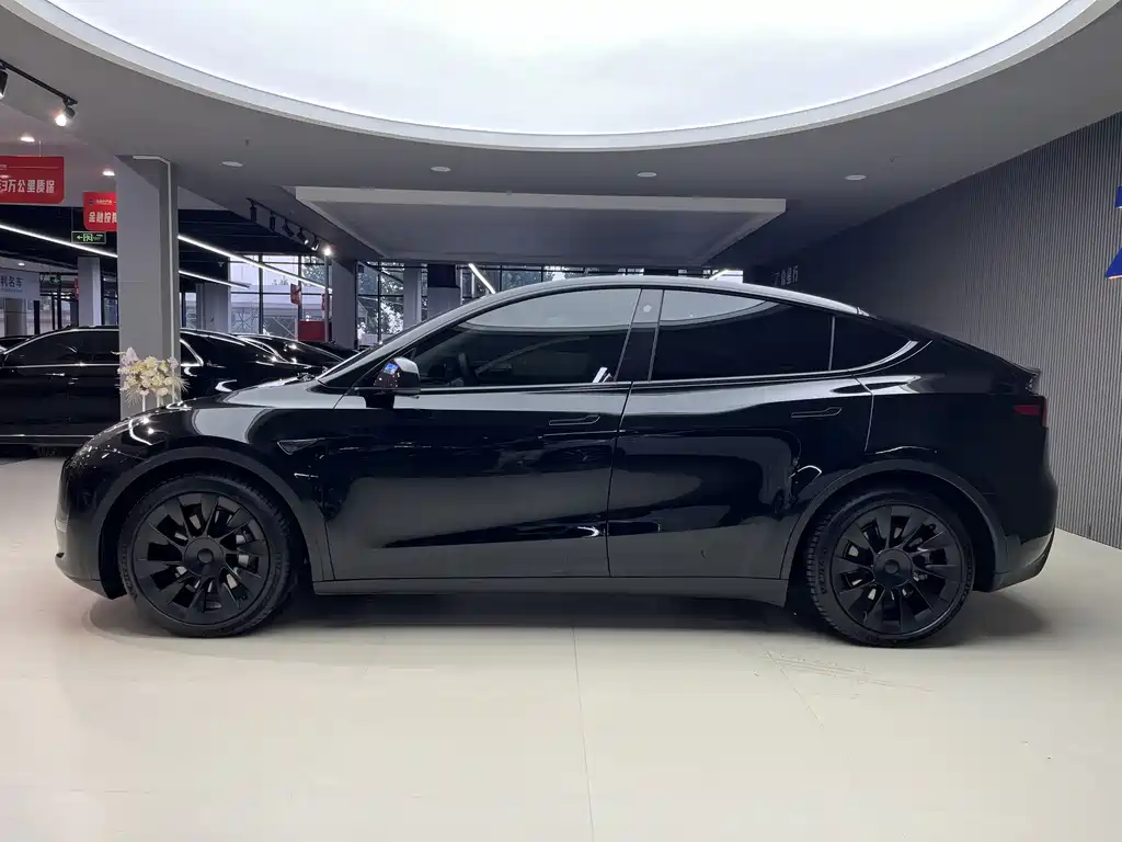 Tesla Model Y — миниатюра 3
