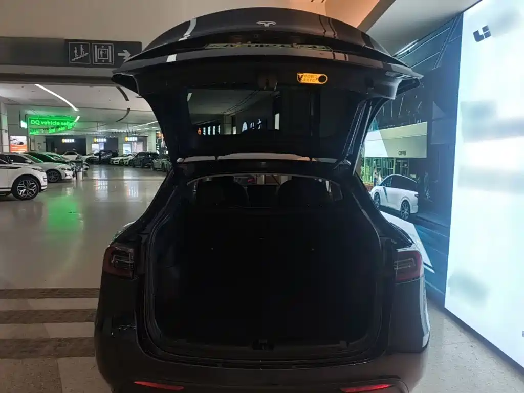 Tesla Model Y — миниатюра 19
