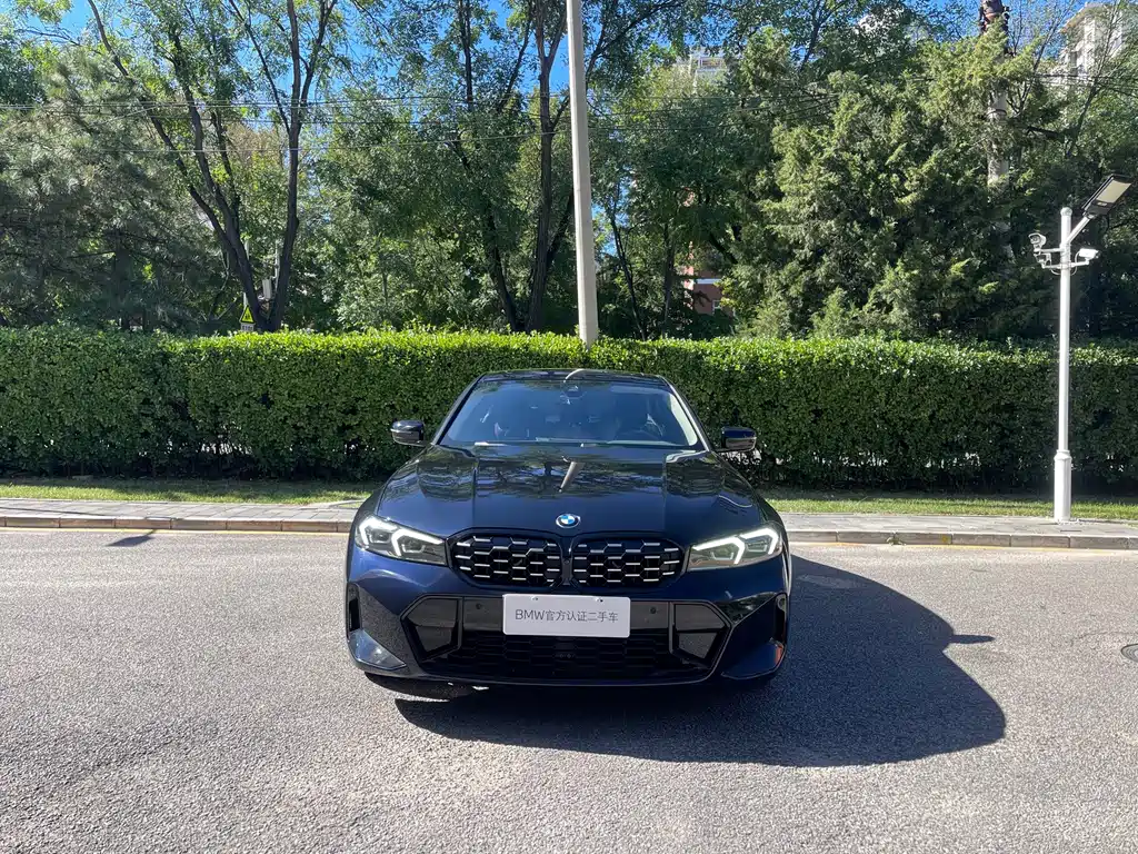 BMW 3 Series — миниатюра 2