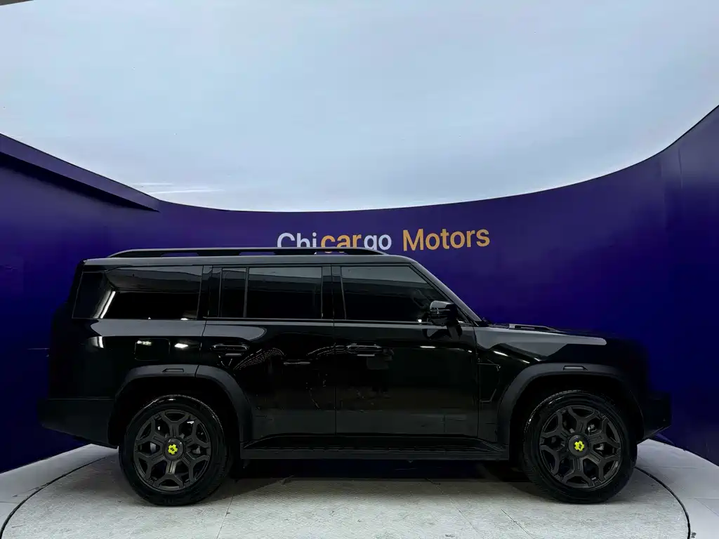 Shanhai Traveller C-DM — миниатюра 7