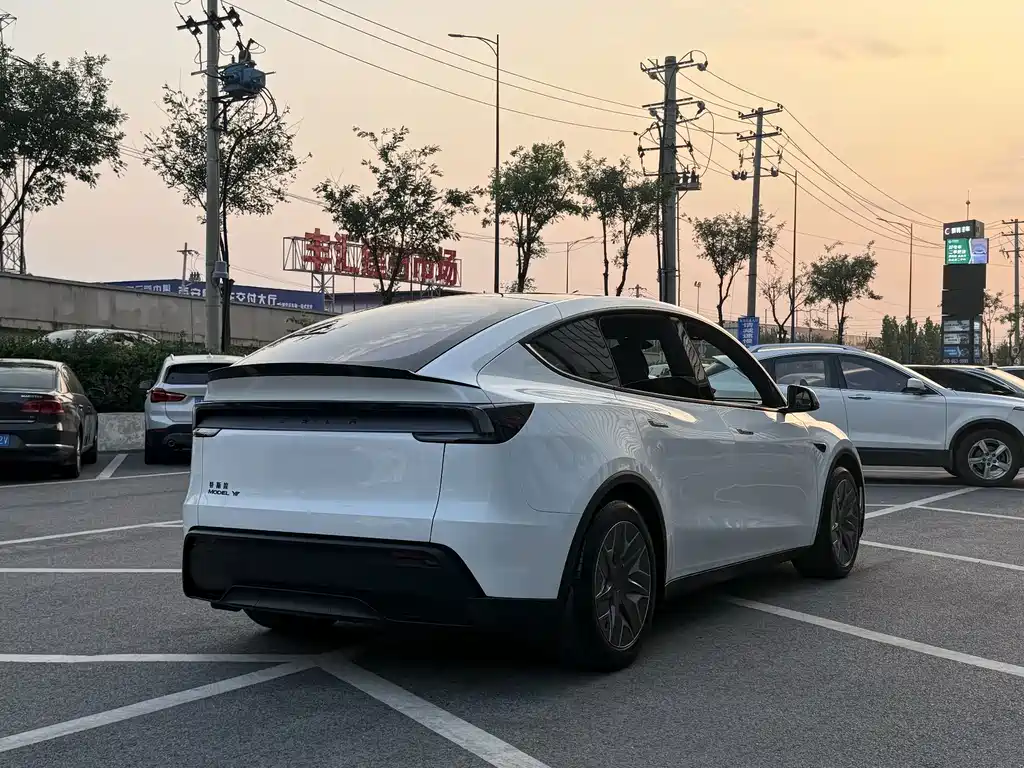Tesla Model Y L — миниатюра 10