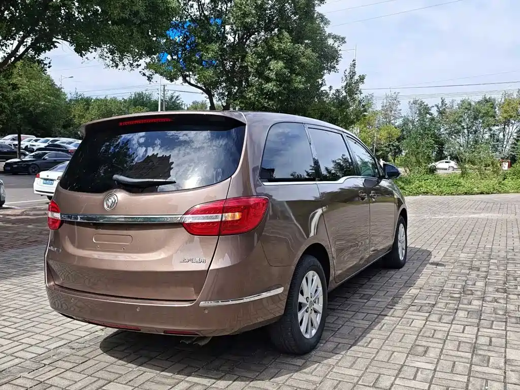 Buick GL8 — миниатюра 14