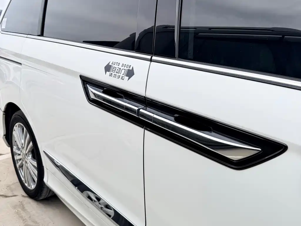 Honda Elysion — миниатюра 20
