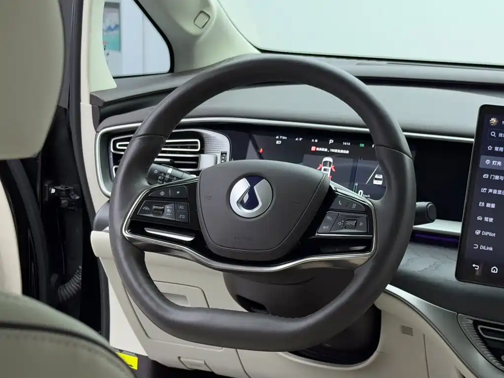 Denza D9 PIONEER 4-seat Create Leader Edition, фото 14