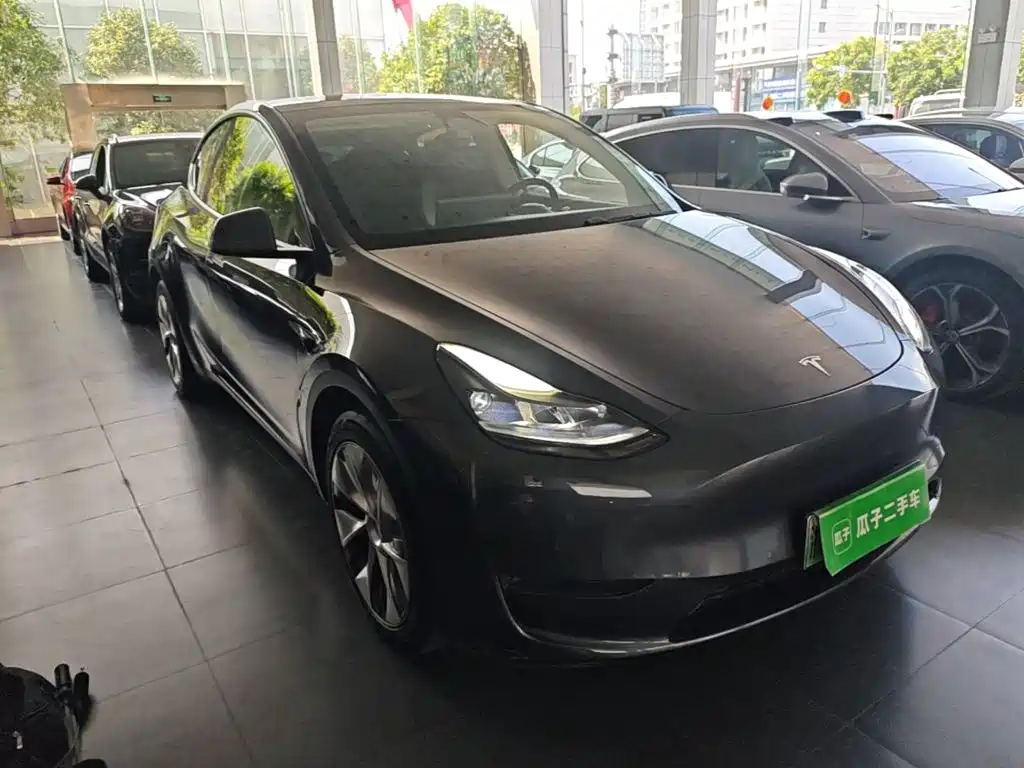 Tesla Model Y — миниатюра 4
