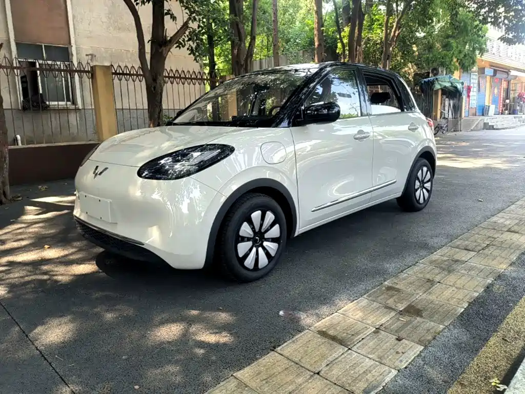 Wuling Bingo