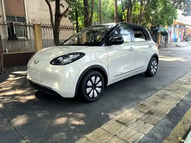 2026 Wuling Motors Binguo