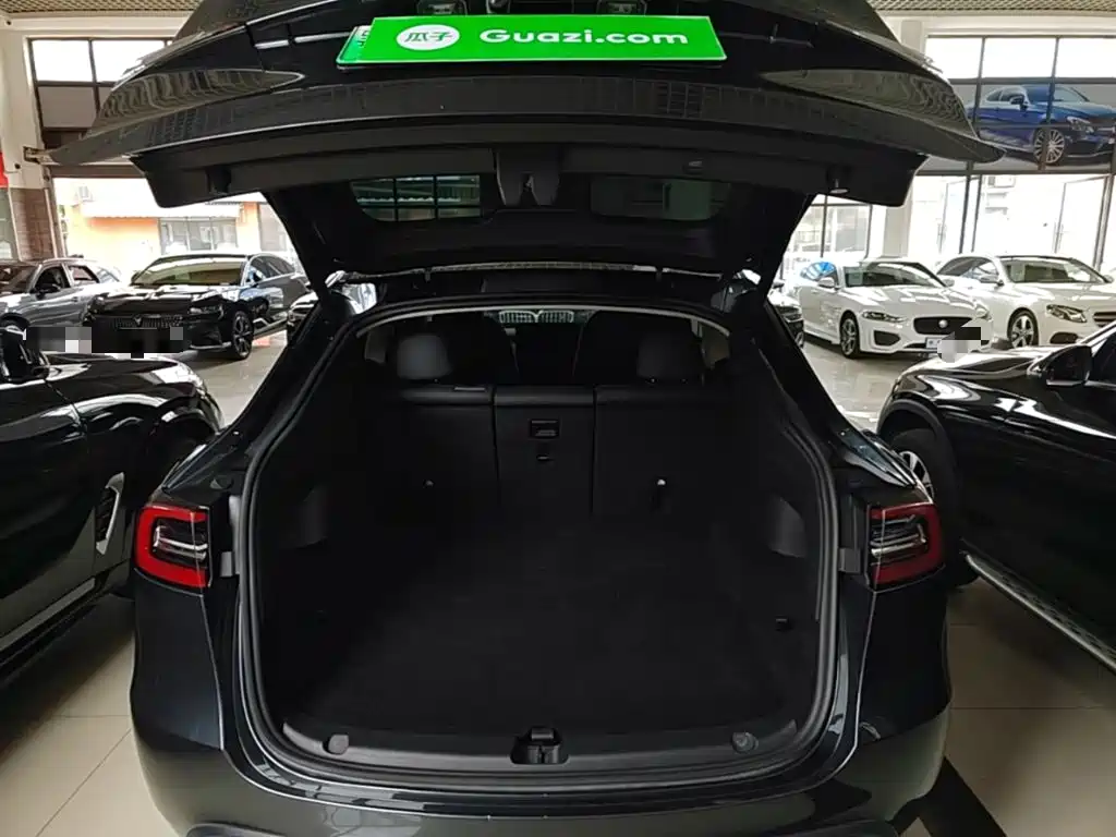 Tesla Model Y — миниатюра 19