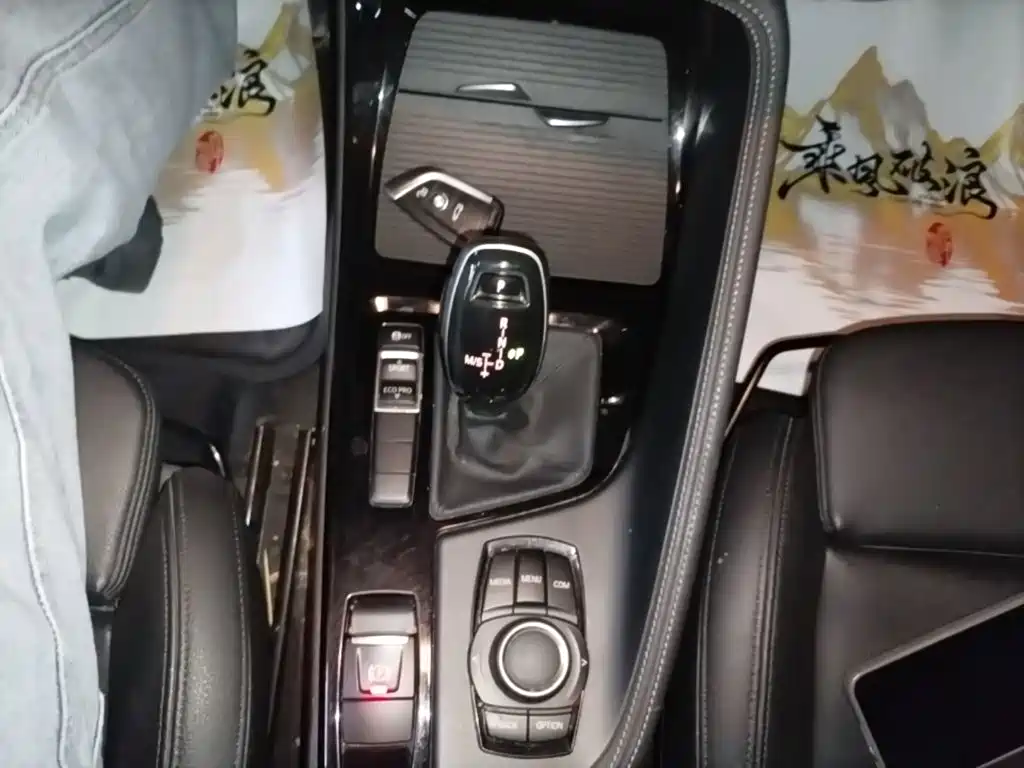 BMW X2 (Import) — миниатюра 14