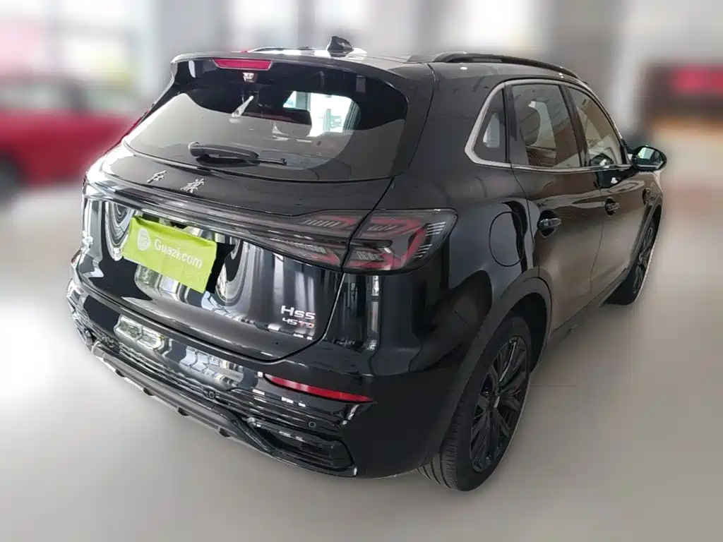 Hongqi Hongqi HS5 - фото 12