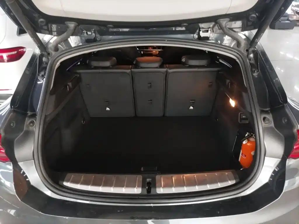 BMW X2 (Import) — миниатюра 19