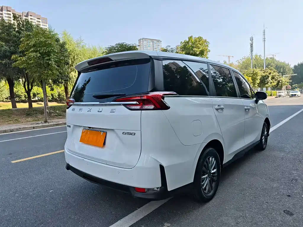 MAXUS G50 — миниатюра 9