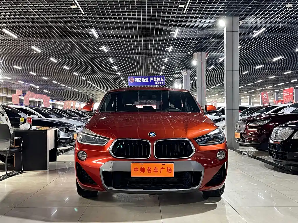 BMW X2 (Import) — миниатюра 2