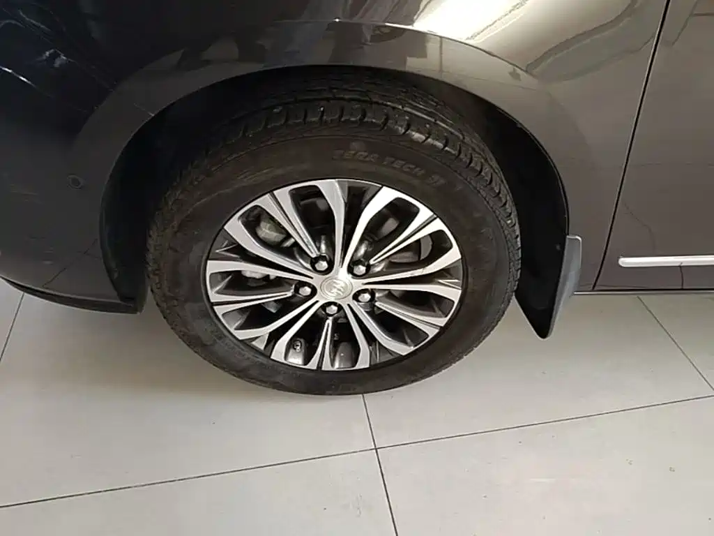 Buick GL8 — миниатюра 23