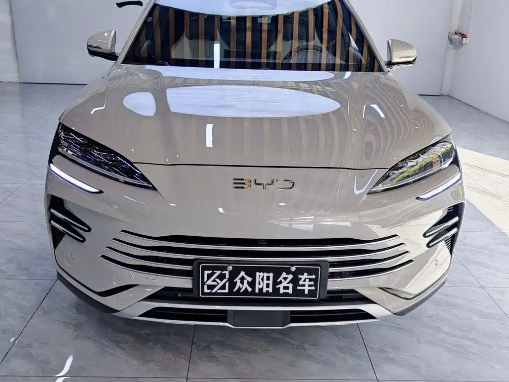 BYD SONGJIANG NEW ENERGY