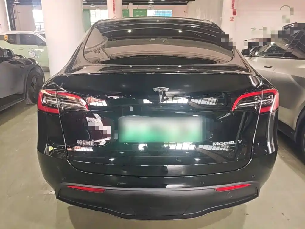 Tesla Model Y — миниатюра 6