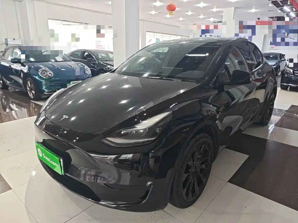 Tesla Model Y — миниатюра 2