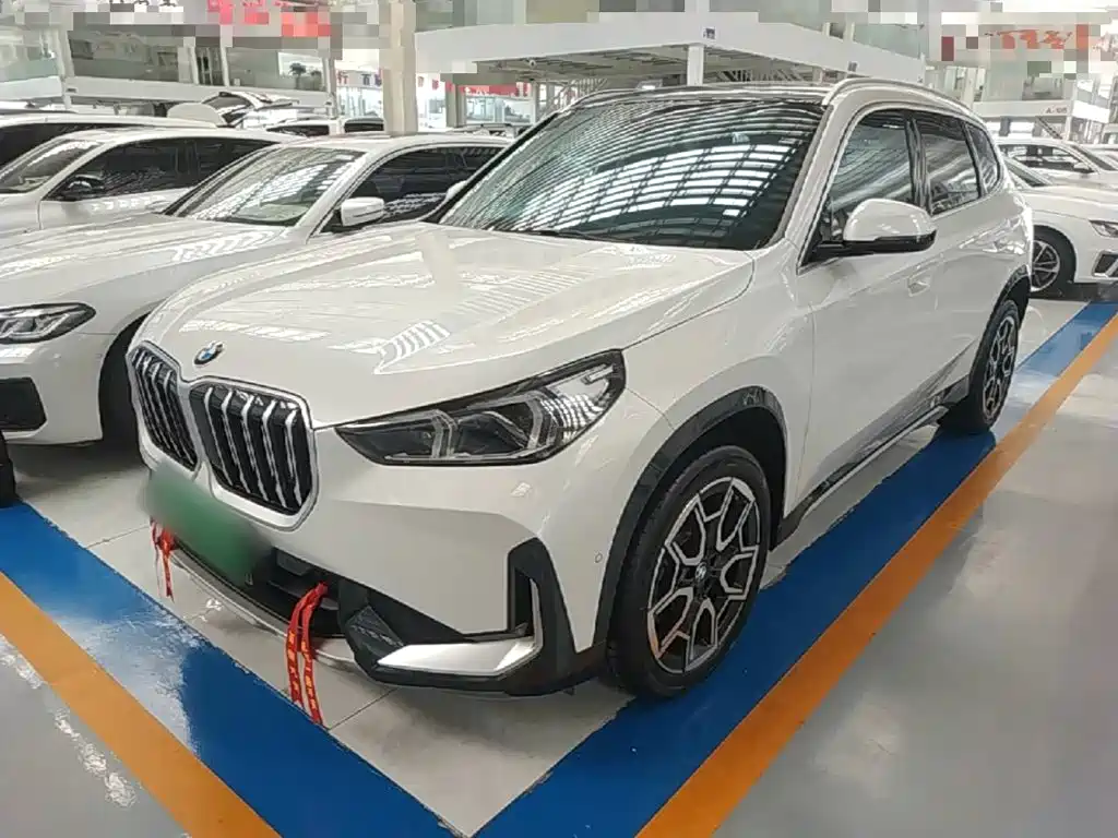 BMW X1 — миниатюра 2