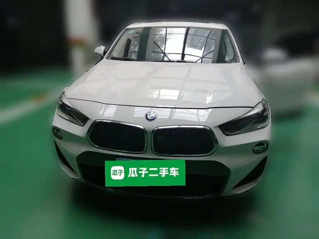 BMW X2 (Import) — миниатюра 2