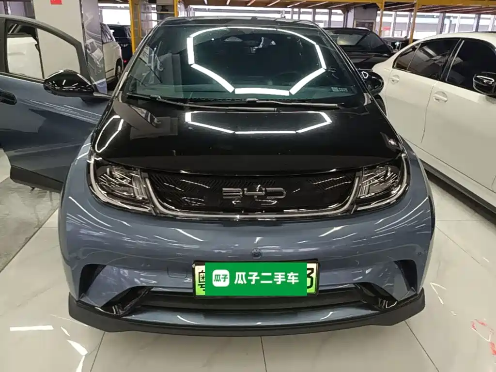BYD Dolphin — миниатюра 3