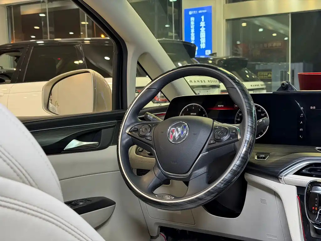 Buick GL8 — миниатюра 17
