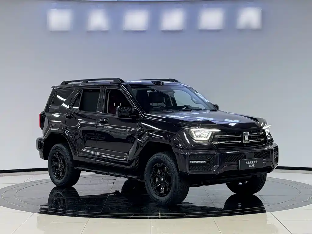 Tank Tank 400 New Energy — миниатюра 5