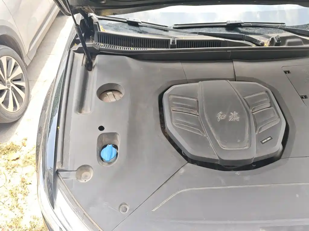 Hongqi Hongqi HS5 — миниатюра 23