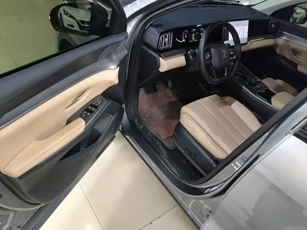 BYD Pro New Energy — миниатюра 16