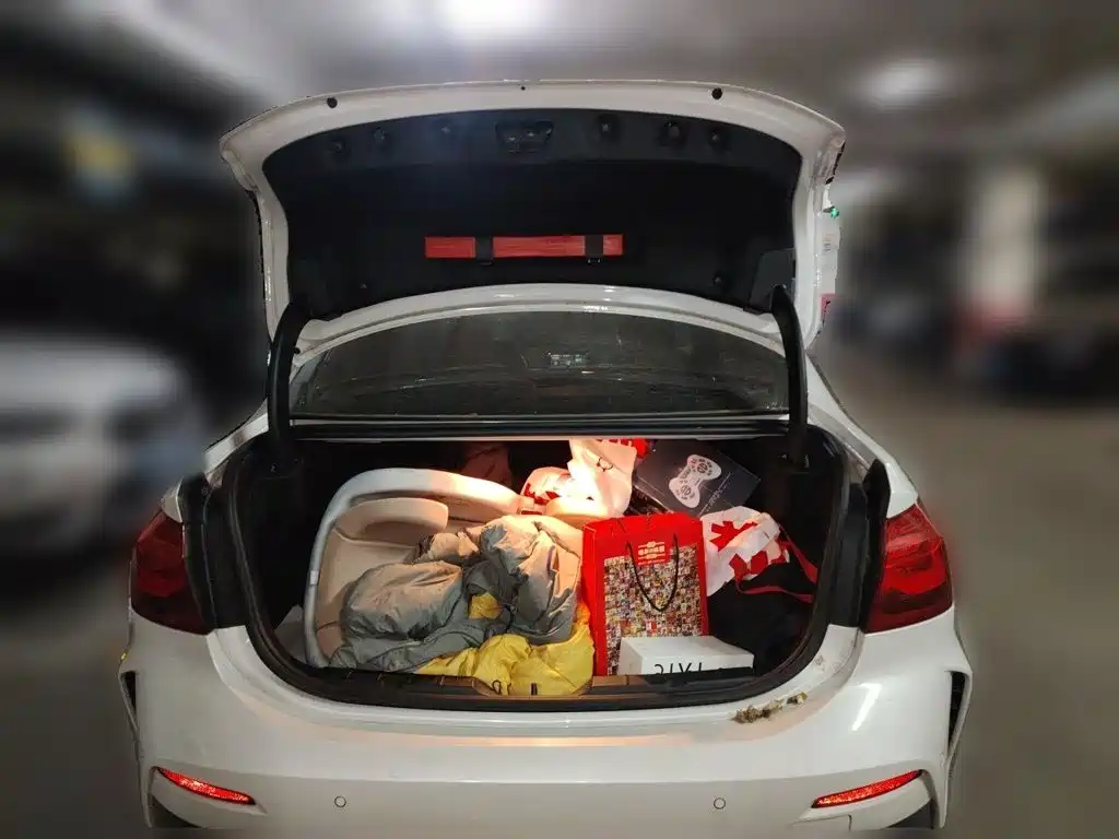 BMW 1 Series — миниатюра 10