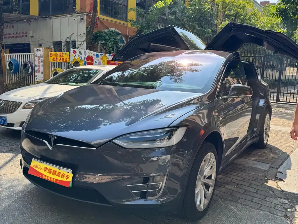Tesla Model X — миниатюра 7