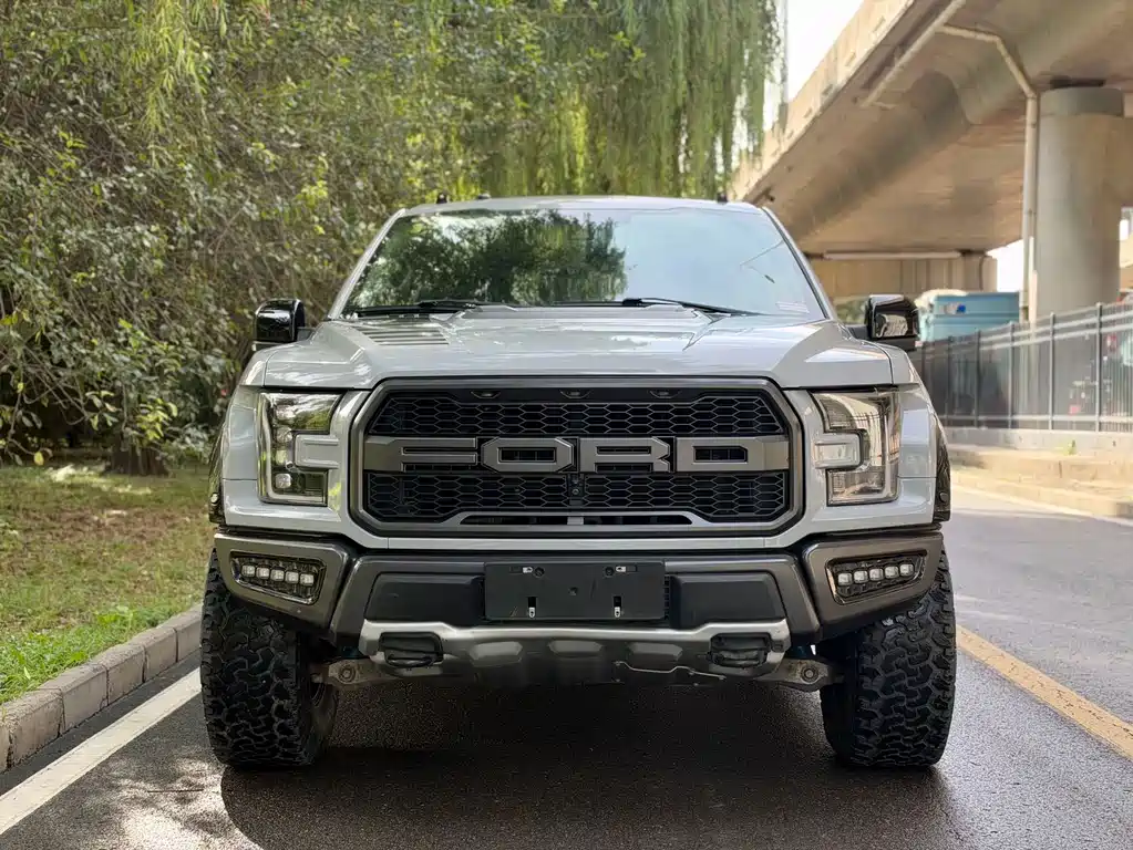 Ford F-150 Raptor — миниатюра 2