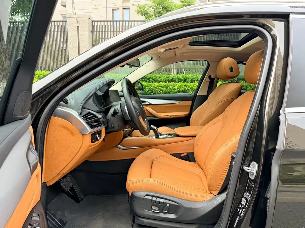 BMW X6 — миниатюра 7