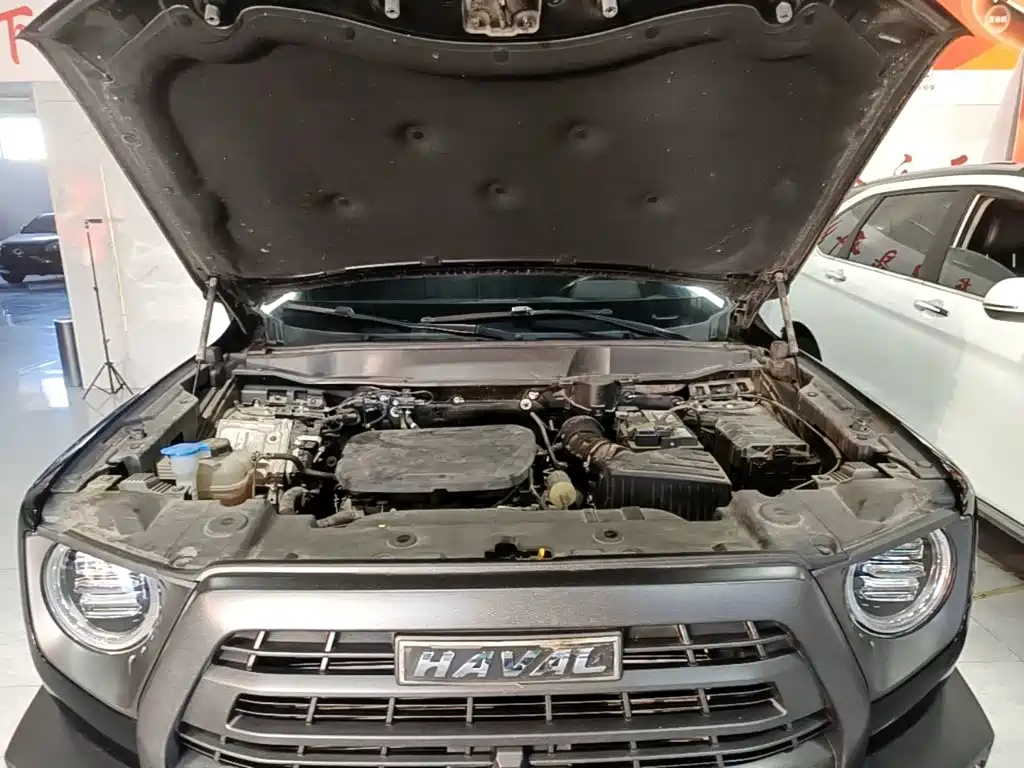 Haval Big Dog — миниатюра 20