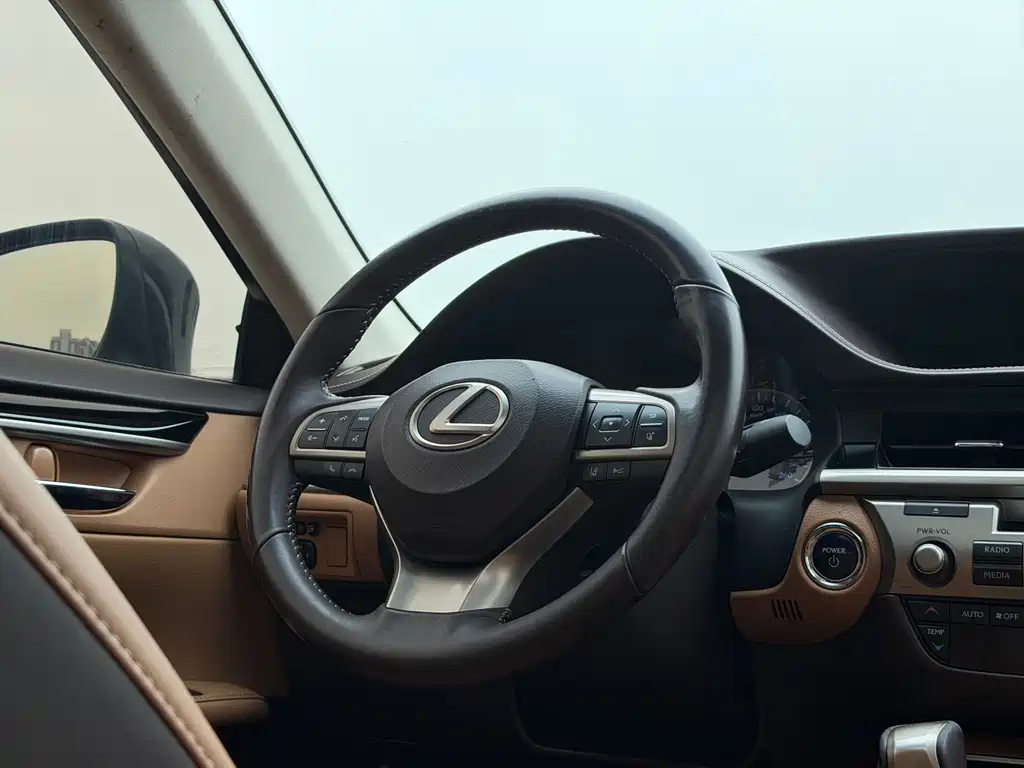 Lexus ES 300h Comfort Edition, фото 14