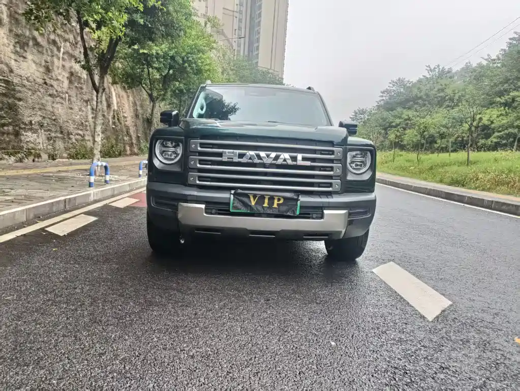 Haval Menglong New Energy — миниатюра 3