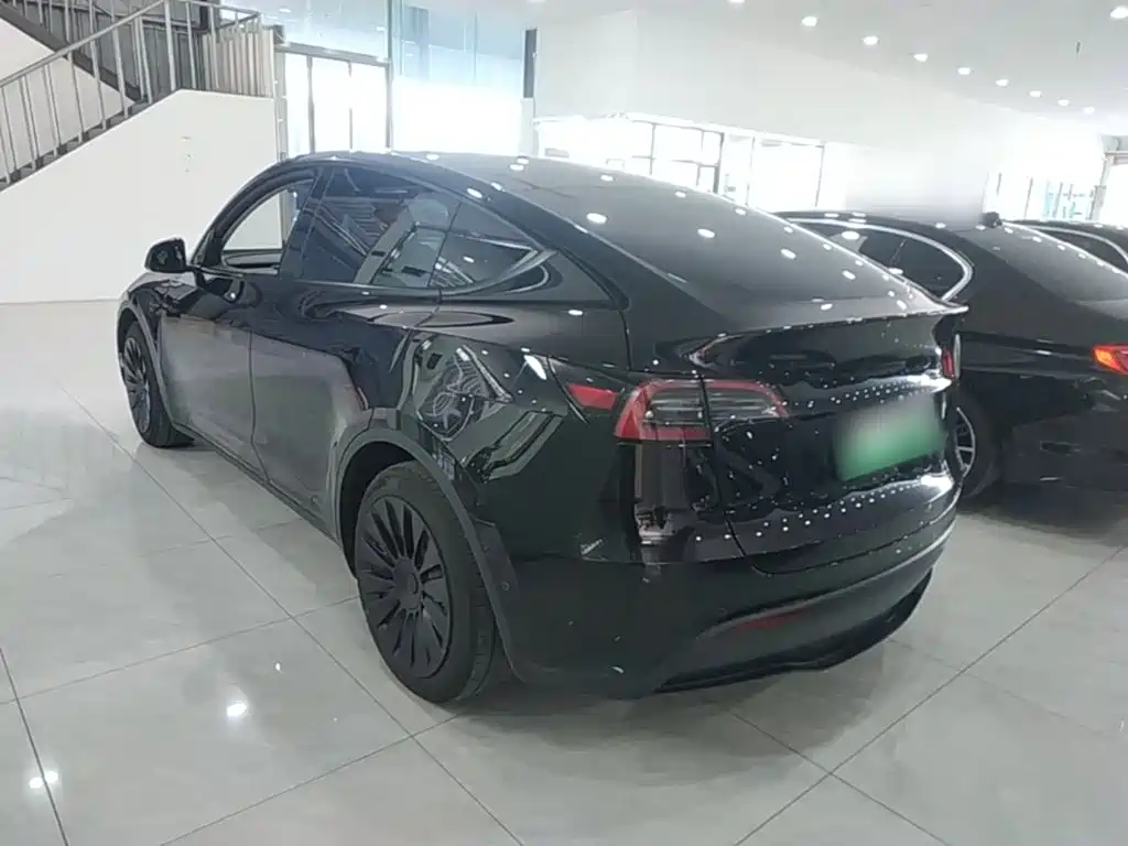 Tesla Model Y — миниатюра 5