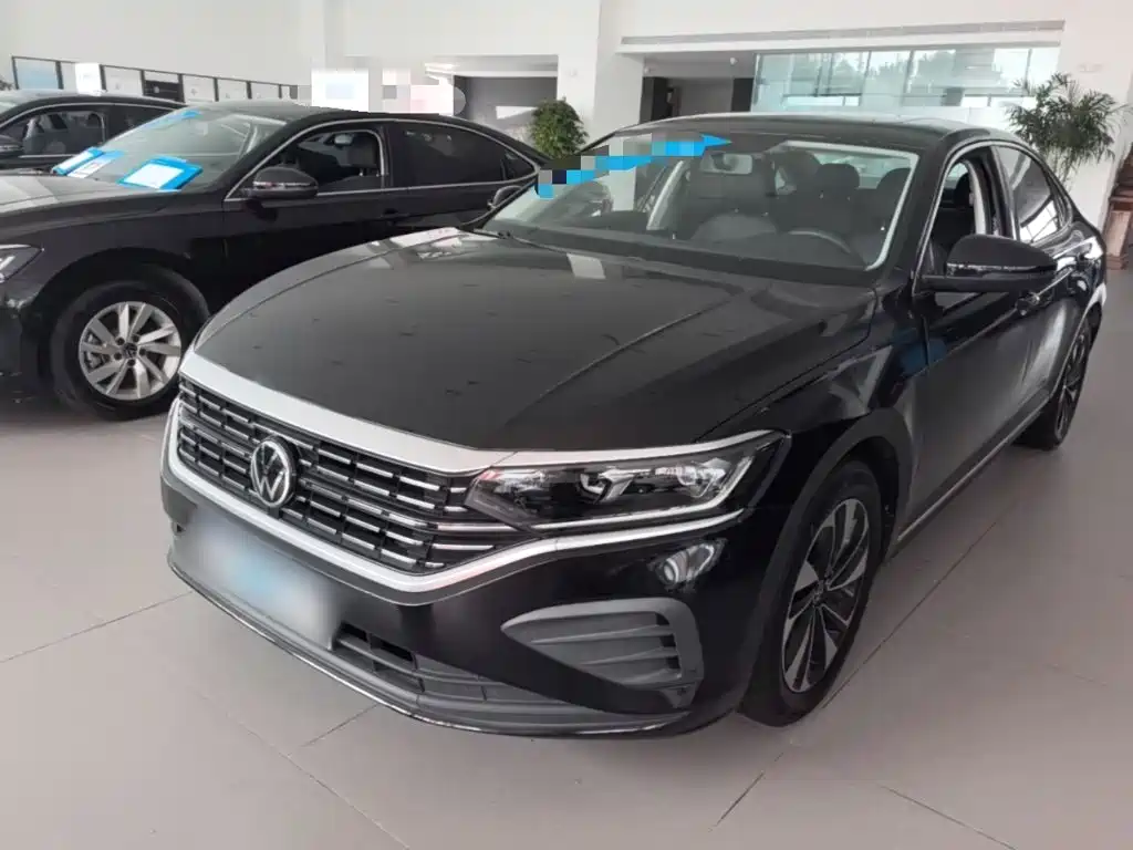 Volkswagen Passat — миниатюра 2