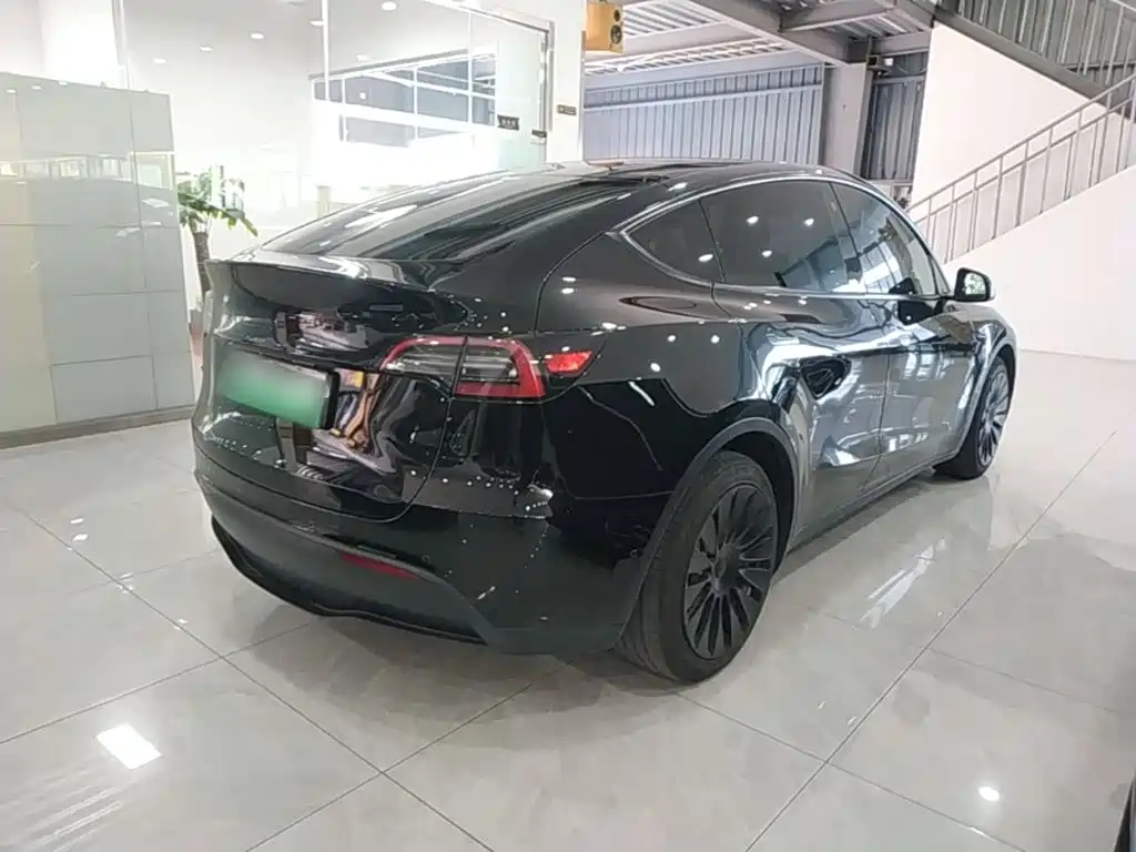 Tesla Model Y — миниатюра 7