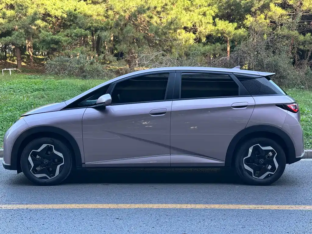 BYD Dolphin — миниатюра 4