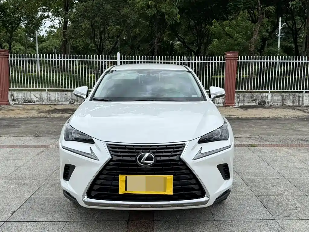 Lexus NX — миниатюра 2